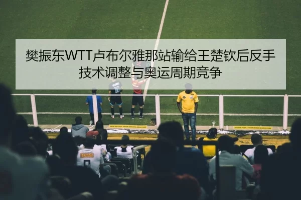 樊振东WTT卢布尔雅那站输给王楚钦后反手技术调整与奥运周期竞争